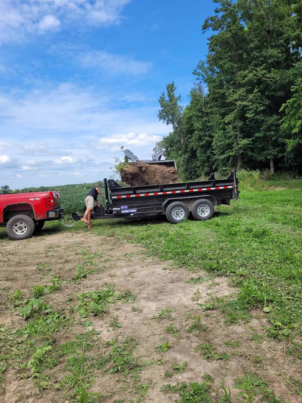 Land Clearing image